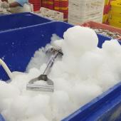 Produit fini et salles d'emballage - Glace pour produit fini