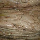 Filetes Atún - vista envasado al vacío