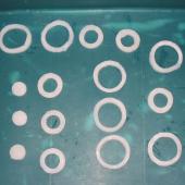Giant squid rings - view different dies