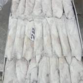 Calamar - origen Senegal - vista producto envasado congelado