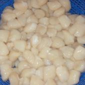  Scallops without shell - origin Peru