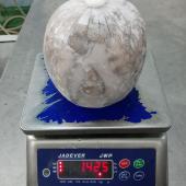 Pulpo - origen Indonesia - vista peso producto