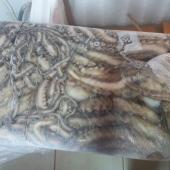 Pulpo - origen Marruecos - vista producto envasado congelado