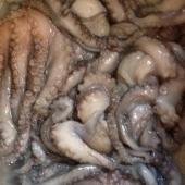 Pulpo - origen Senegal - vista producto fresco