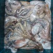 Polvo - visão de produto fresco
