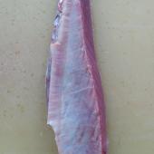 Filete ventresca