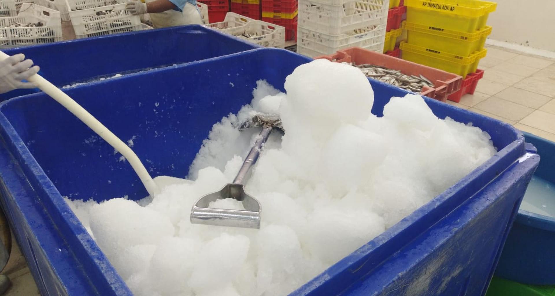 Produit fini et salles d'emballage - Glace pour produit fini
