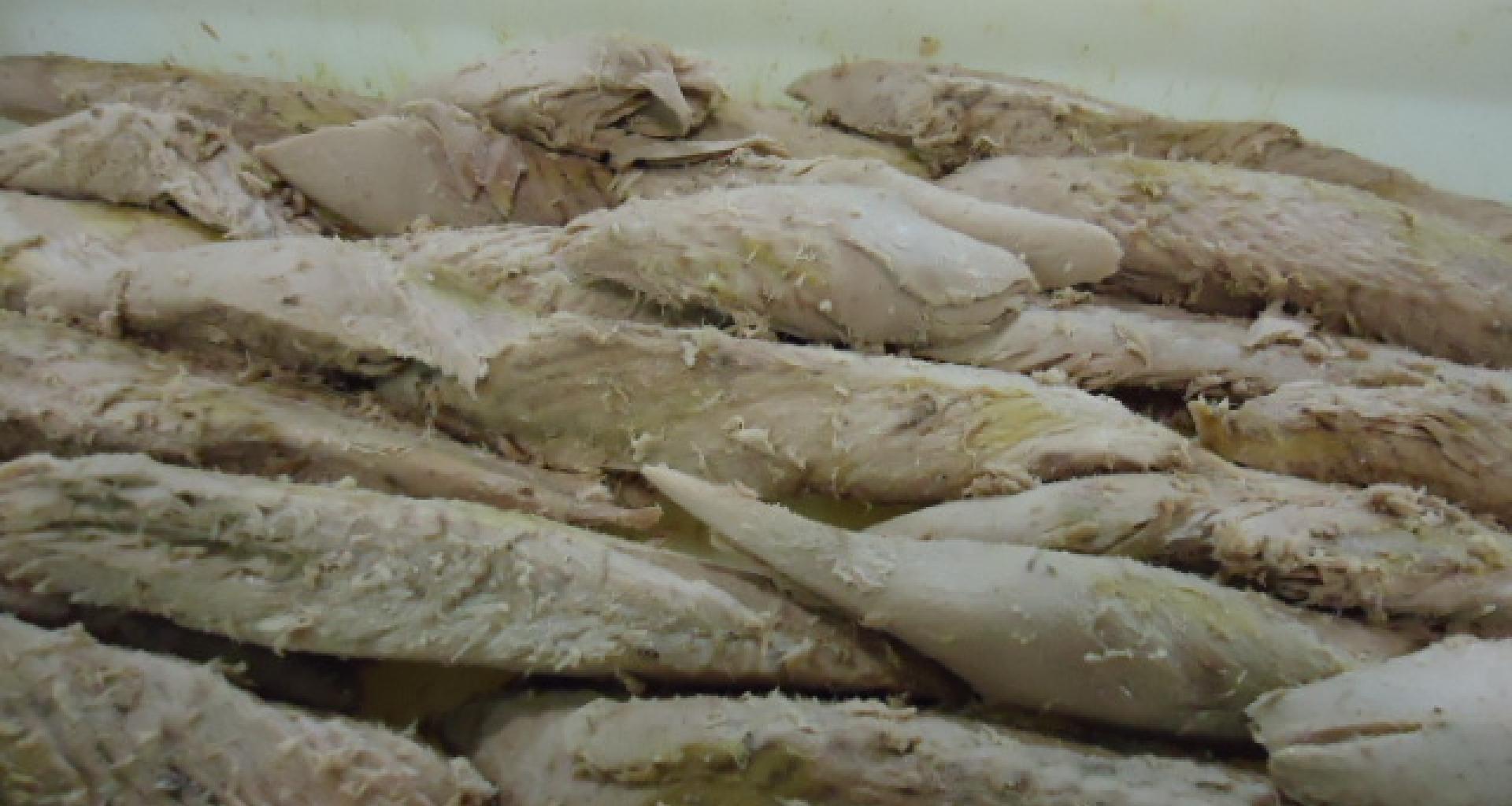 Filetes Atún - vista lateral