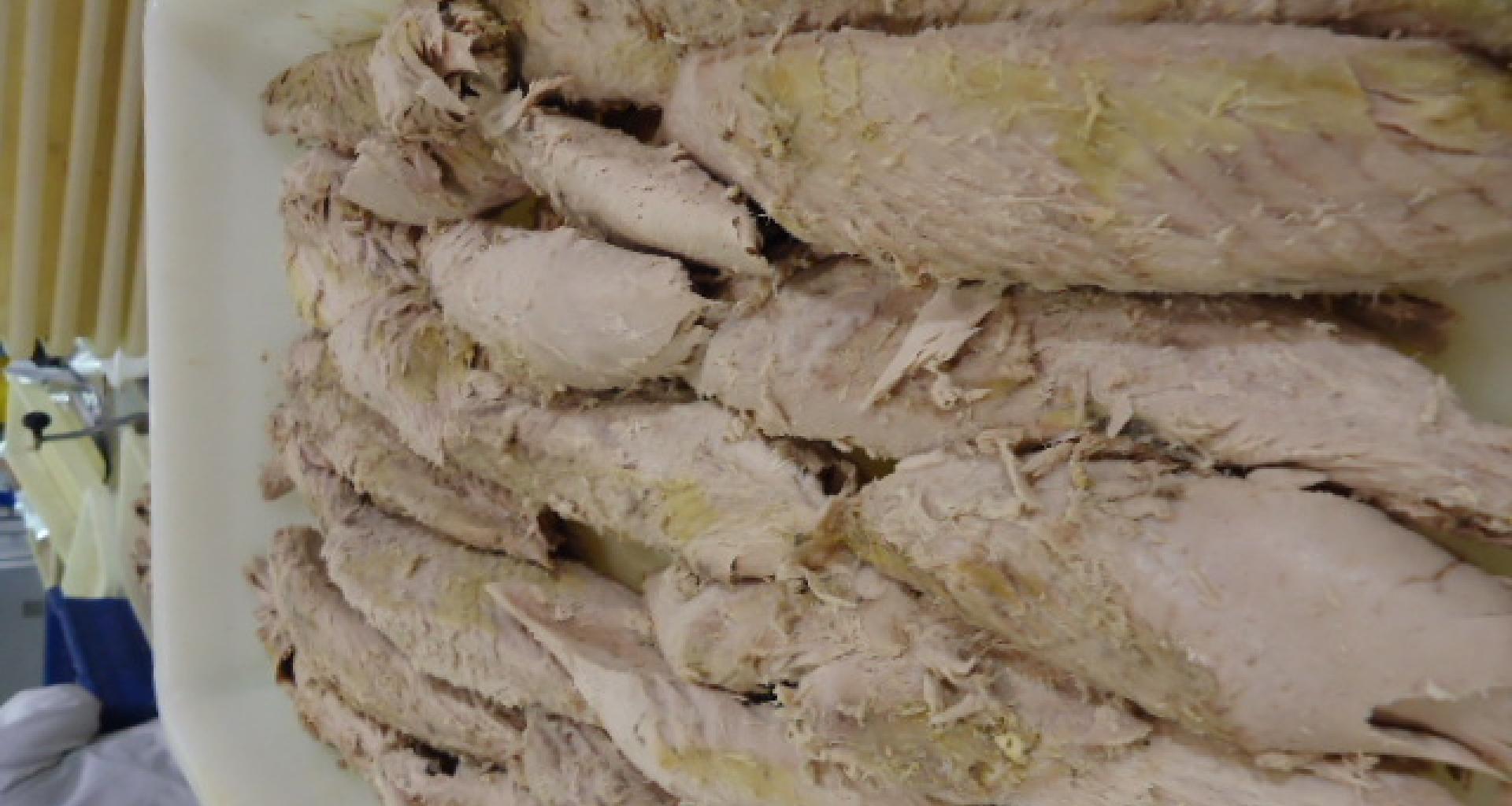 Filetes Atún - vista frontal