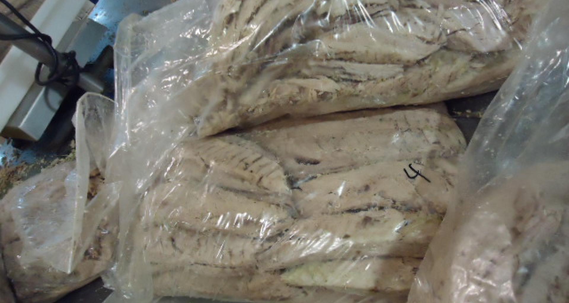 Filetes Atún - vista lateral envasado