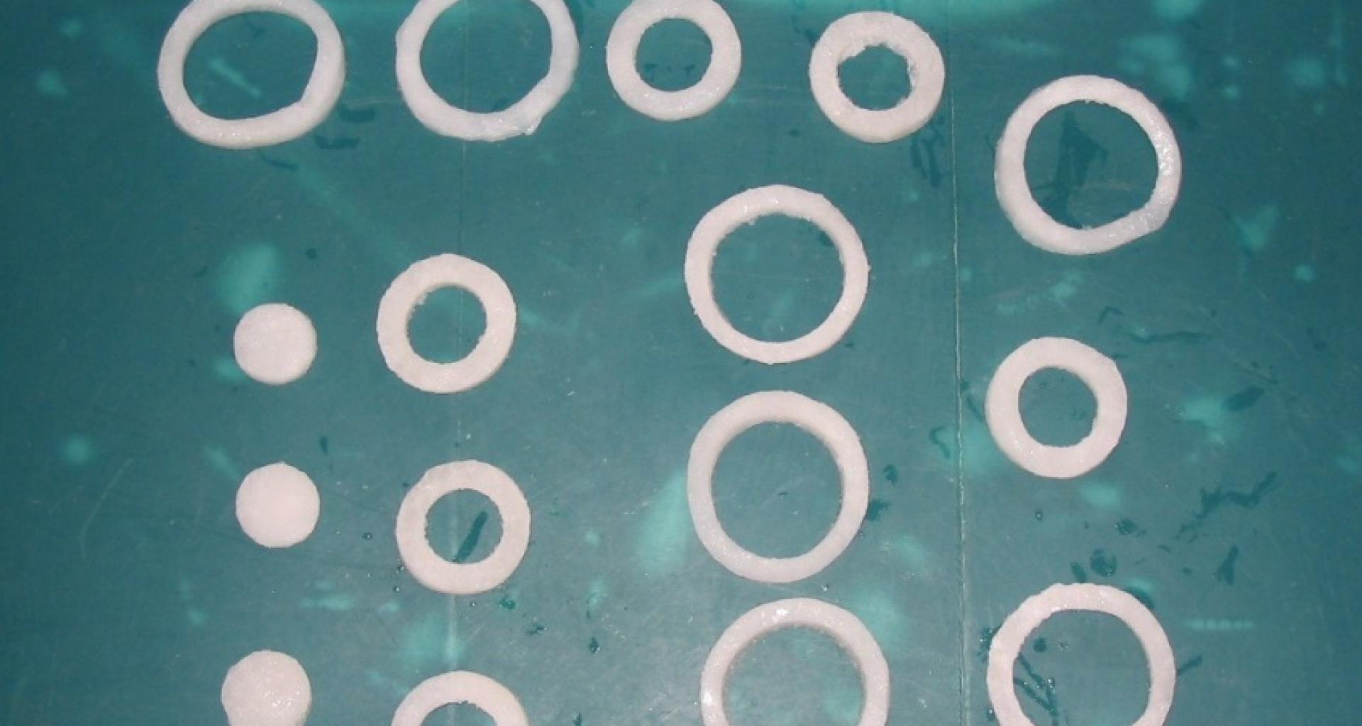 Giant squid rings - view different dies
