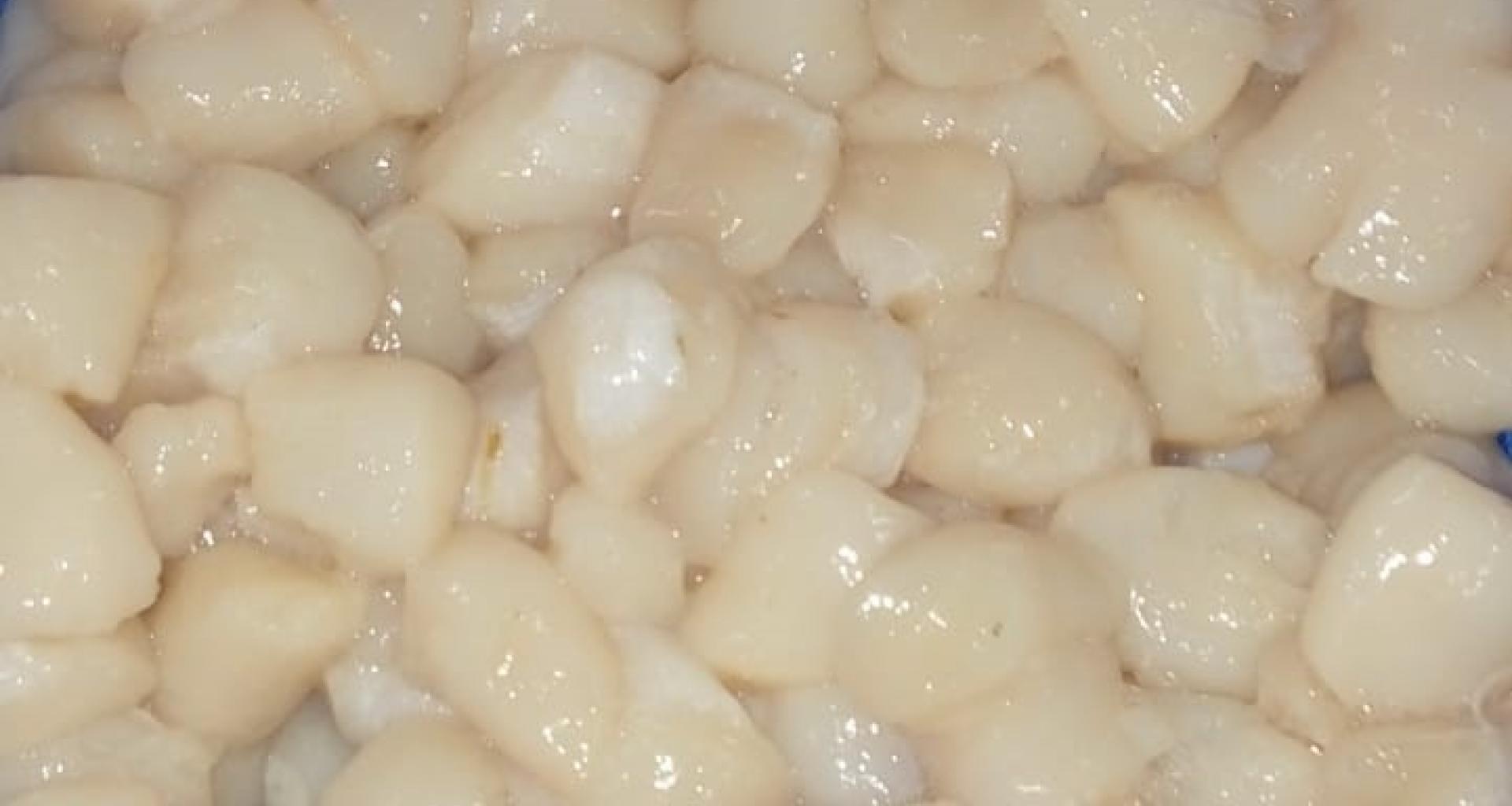  Scallops without shell - origin Peru