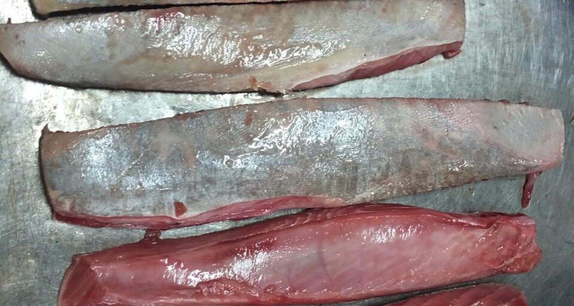 Filetes ventresca origen Indonesia