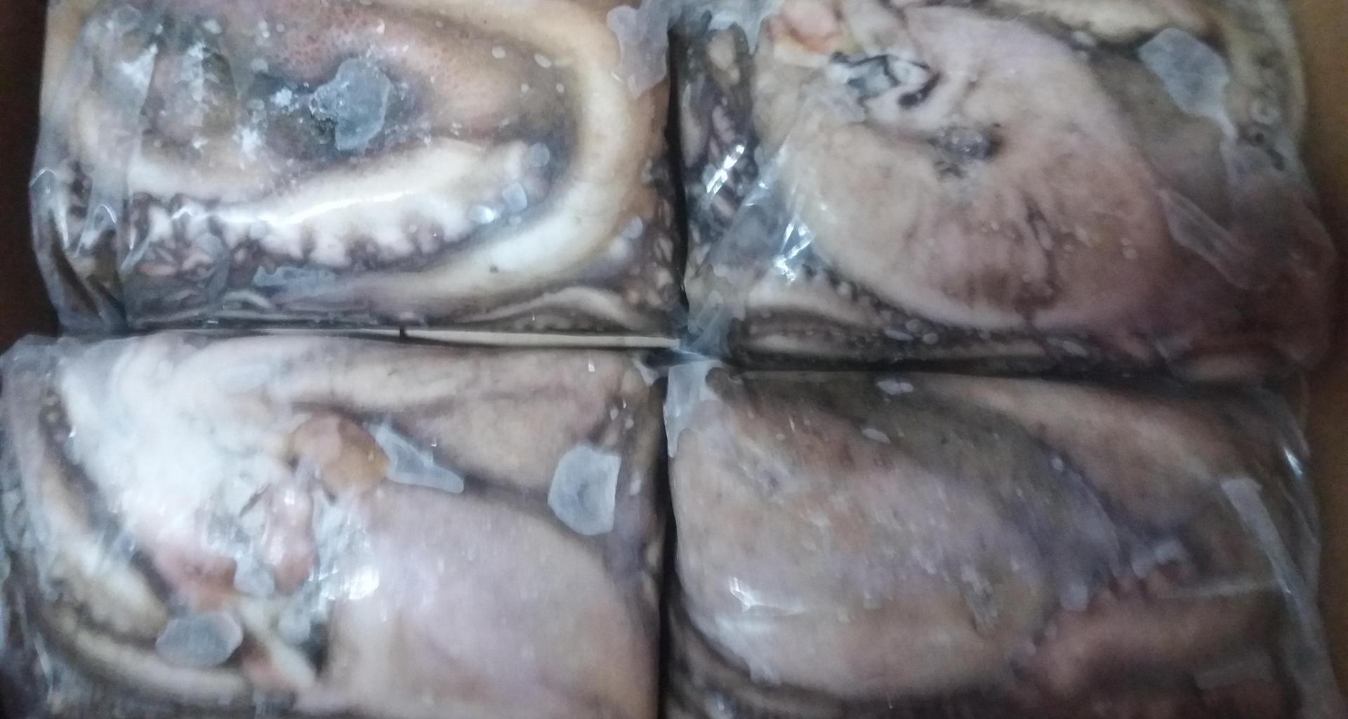 Pulpo - origen Marruecos - vista producto envasado congelado individual