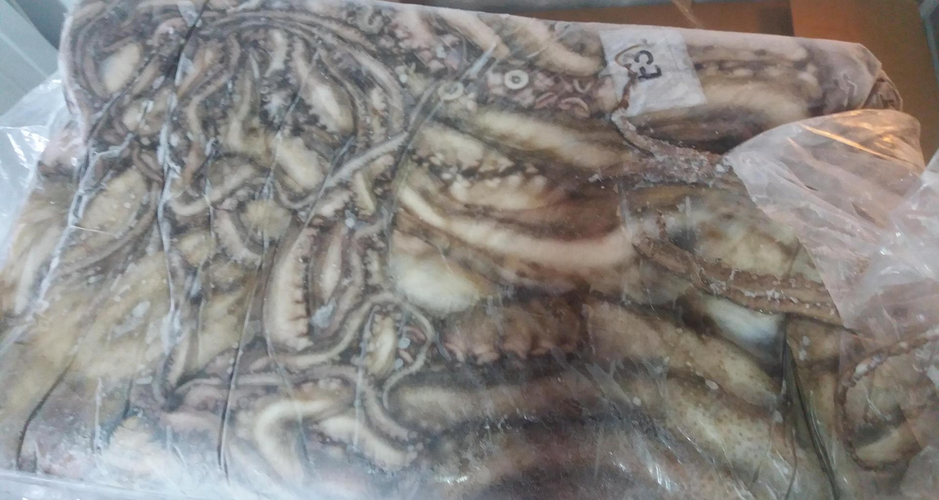 Pulpo - origen Marruecos - vista producto envasado congelado
