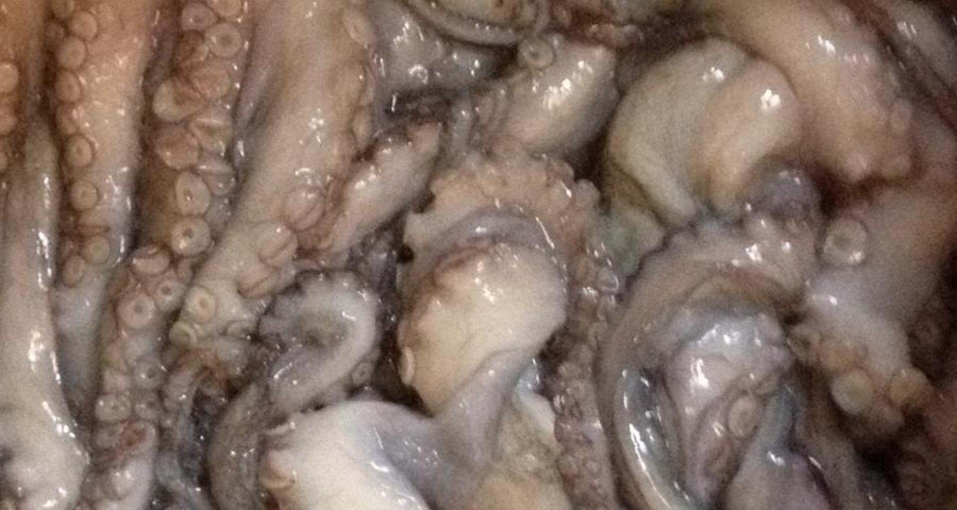 Pulpo - origen Senegal - vista producto fresco