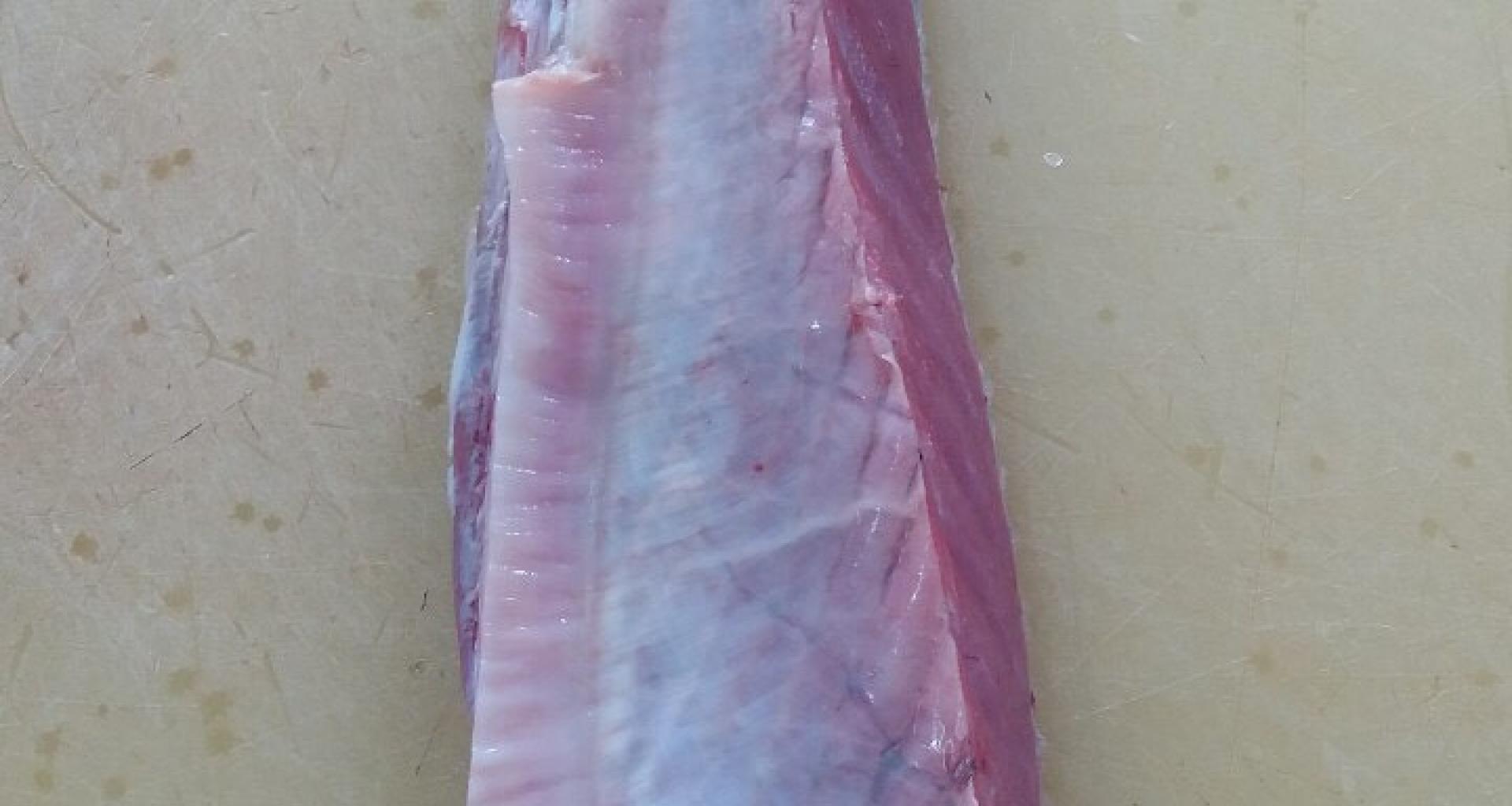 Filete ventresca